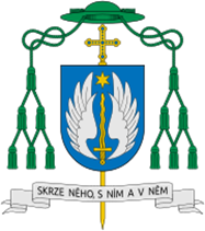 znak biskupa